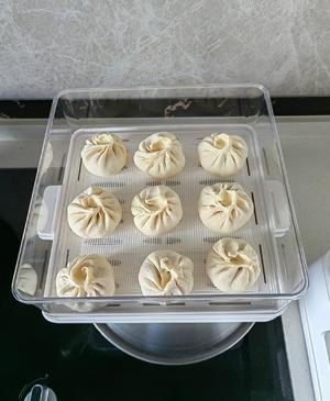 零醒发包子的做法 步骤9