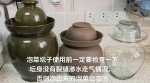 最详细的四川泡菜家常做法的做法 步骤4