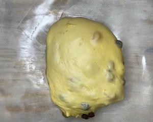 【简单的潘娜托妮面包】简易版口感像蛋糕内容丰富的圣诞?潘妮托尼面包 中种的做法 步骤47