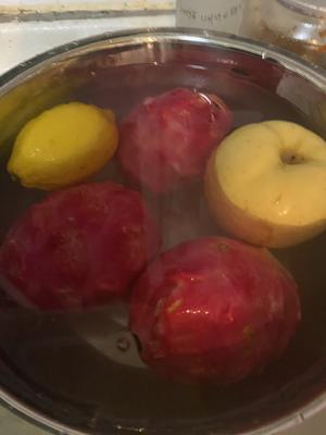 美容养颜瘦身酵素（自制）的做法 步骤5