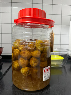 不加酒的美容通畅青梅汁的做法 步骤11
