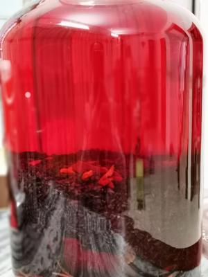 女人的大补酒的做法 步骤6