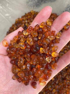 美容养颜圣品之桃胶雪燕皂角米炖牛奶的做法 步骤1