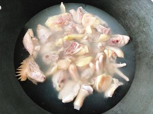 四季椰子鸡汤的做法 步骤7