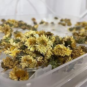 杭白菊的制作（现代工艺）的做法 步骤5