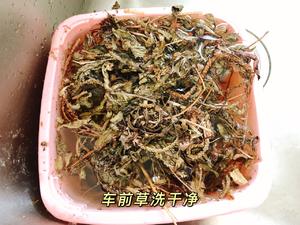 广东靓汤|车前草煲猪小肚?清热利尿的做法 步骤1