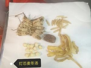 灯芯麦冬汤，清心降火的做法 步骤3