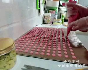 果蔬蛋黄溶豆?菠菜、火龙果、香蕉、紫薯、南瓜、胡萝卜?适合七个月以上宝宝的做法 步骤5