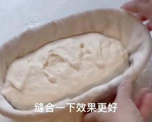 50%全麦欧包丨鲁邦种·无油无糖的做法 步骤18