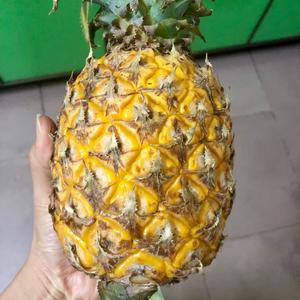手抓饼版菠萝派（含自制菠萝馅）的做法 步骤1