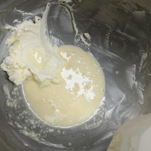 奶酪柚子塔的做法 步骤6