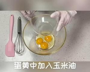 轻甜双馅椰香斑斓蛋糕（含详细分解视频，解锁N项技能）的做法 步骤10