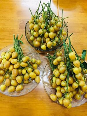 黄皮蜜饯（黄皮膏）的做法 步骤2