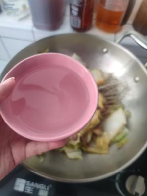 东北名菜白菜猪肉炖粉条的做法 步骤12
