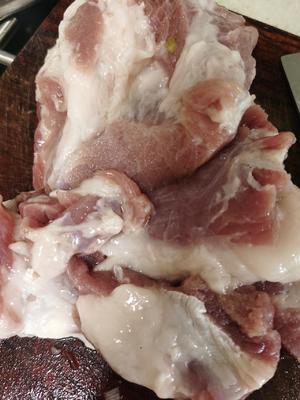 玉米胡萝卜猪肉馅水饺的做法 步骤4