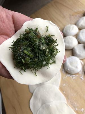 茴香猪肉馅儿水饺的做法 步骤16