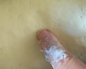一次发酵油煎饼的做法 步骤3