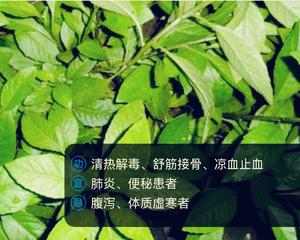 白子菜廋肉蛋花汤的做法 步骤1