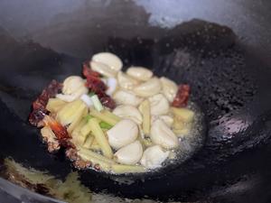 肥肠炖豆腐的做法 步骤2