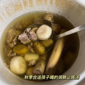 排骨猪肺橄榄汤-润肺止咳汤的做法 步骤2