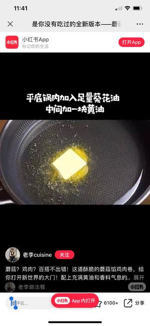 法国美食之八十二蘑菇馅鸡肉卷的做法 步骤17