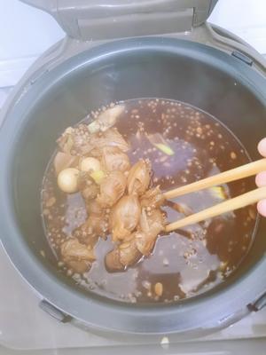 减脂零食‖无油无糖卤鸡胗～卤腐竹～卤鹌鹑蛋～高蛋白低脂肪的做法 步骤10