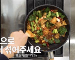 辣炖鸡块 ｜ 白钟元的料理秘笈的做法 步骤14