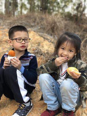 烤箱和微波炉都弱暴了的窑鸡&窑红薯的做法 步骤19