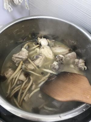 美味三黄鸡炖鲜茶树菇的做法 步骤9