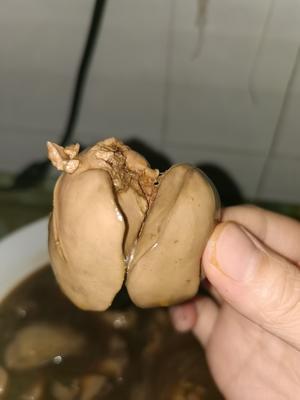 红烧味卤鸡肝的做法 步骤3