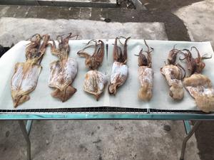 万用自家烧烤菜单的做法 步骤10