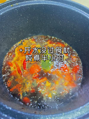 番茄土豆炖牛腩的做法 步骤9