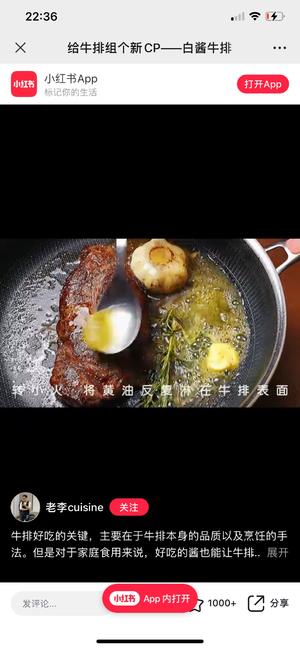 法国美食之六十七白酱牛排的做法 步骤13