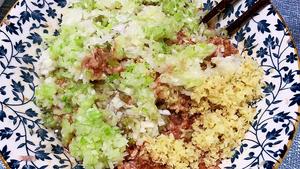 鲜美多汁的牛肉馅饼（更新篇）的做法 步骤6
