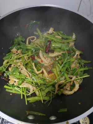 牛肚香菜梗炒尖椒(红油版下饭菜，原图呈现)的做法 步骤5