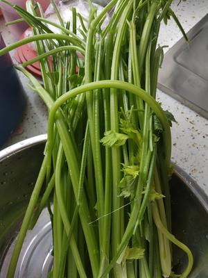 芹菜牛肉馅饺子的做法 步骤1