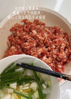 包子 盘龙牛肉饼 肉饼 馅的调制小笼包子 面的做法 步骤5