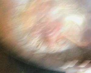 鸭腿这么做，一口气吃两个都不够?的做法 步骤8