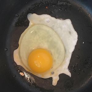 胡萝卜鸭肉芝士卷饼的做法 步骤4