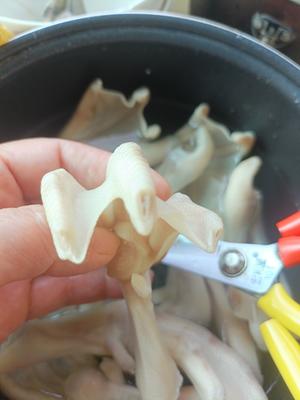 馋嘴鸭掌的做法 步骤7