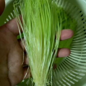 玉米笋排骨汤的做法 步骤3