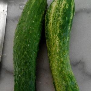 干锅耗油黄瓜的做法 步骤1
