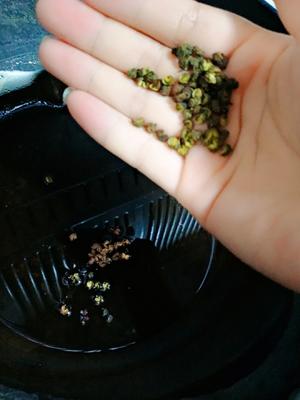 超级简单的凉拌豇豆的做法 步骤7