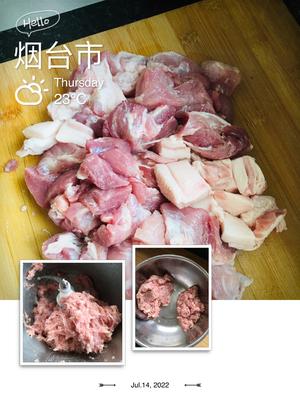 巨香巨好吃༄「豇豆猪肉包」???的做法 步骤5