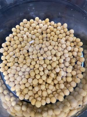 适合夏天喝的排骨苦瓜黄豆汤的做法 步骤2