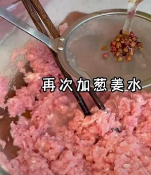 发面水煎包 调馅方法 西葫芦虾仁水煎包饺子馅的做法 步骤3