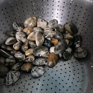 豌豆苗花甲蛋汤（3⭐半）的做法 步骤6