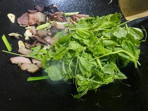 腊肉炒豌豆尖的做法 步骤8