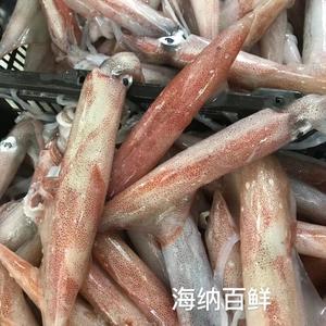 菜椒炒鲜鱿的做法 步骤1