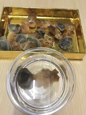 海带冬瓜汤的做法 步骤1